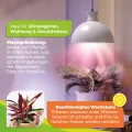 Bio Green Pflanzenleuchte FLORABOOSTER 500 - Weiß | LED Vollspektrum | Maximales Wachstum | Gewächshauslampe | Grow Light für Gemüse- & Zimmerpflanzen - Thumbnail 4