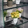 Bramble - Premium Garten Foliengewächshaus für Balkon & Terrasse mit 5 Regalen, Stahlrahmen & Verstärkter PVC-Abdeckung - Stabil & Einfach zu Montieren - 193x69x49cm Weiß - Thumbnail 9