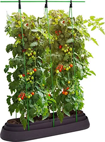 dobar 58742 Tomatenbeet - Tomatentopf mit Rankhilfe- Tomatenzüchter aus Kunststoff - Blumentopf für Tomatenpflanzen - Tomatenhaus - Tomaten-Anzucht Topf - 110 x 37 x 160 cm - schwarz – Bild 4
