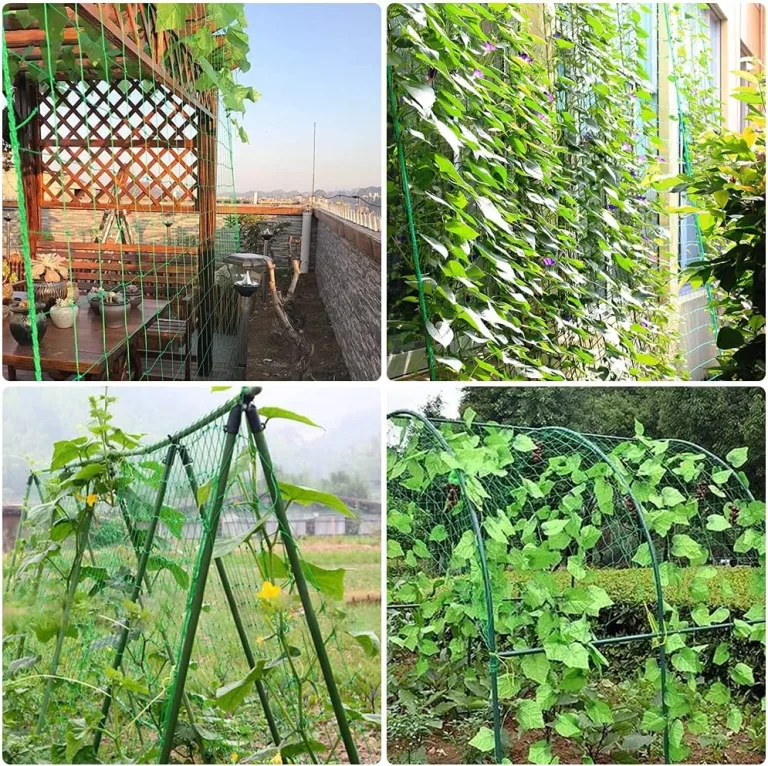 Ranknetz Verdickung Pflanzennetz mit Großer Maschenweite Rankhilfe Netz für Kletterpflanzen, Gurken,Tomaten und Anderen Gemüsepflanzen Gewächshaus Zubehör - 2m x 2.5m – Bild 13
