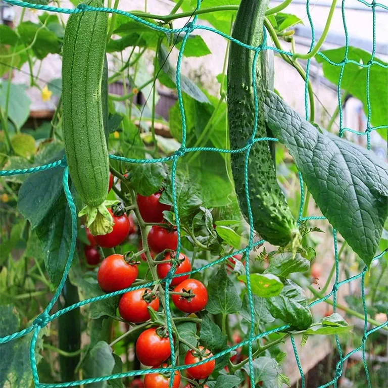 Ranknetz Verdickung Pflanzennetz mit Großer Maschenweite Rankhilfe Netz für Kletterpflanzen, Gurken,Tomaten und Anderen Gemüsepflanzen Gewächshaus Zubehör - 2m x 2.5m – Bild 1