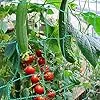 Ranknetz Verdickung Pflanzennetz mit Großer Maschenweite Rankhilfe Netz für Kletterpflanzen, Gurken,Tomaten und Anderen Gemüsepflanzen Gewächshaus Zubehör - 2m x 2.5m - Thumbnail 2