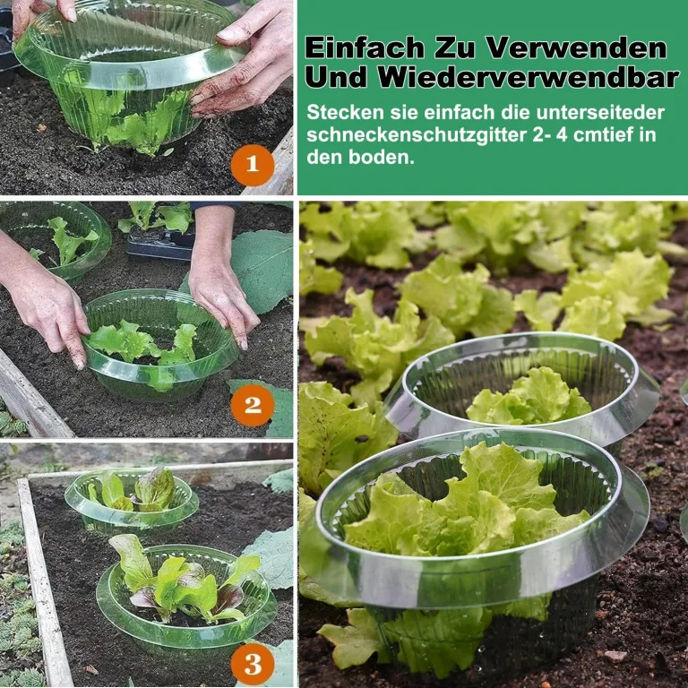 Upgrade Verstärkt Schnecken-Schutz | Schneckenkragen für Ihre Salatpflanzen und Kohl | Schneckenabwehr ohne Chemie |(68g/ stücke) – Bild 8