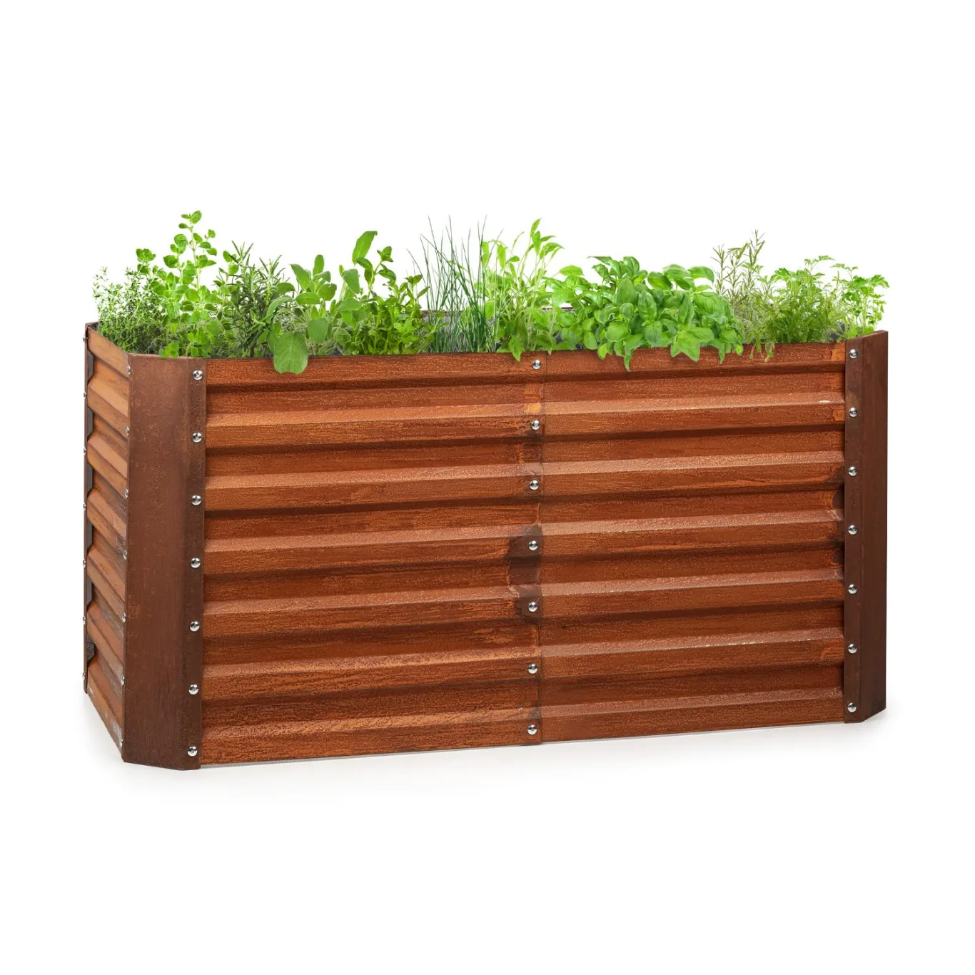 blumfeldt Rust Grow Hochbeet Gartenbeet, verzinktes Stahlblech, Materialstärke: 0,6 mm, einfache Montage, Rost-Finish, 120 x 60 x 60 cm (BxHxT), Rost - Bild 1