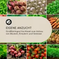 blumfeldt Rust Grow Hochbeet Gartenbeet, verzinktes Stahlblech, Materialstärke: 0,6 mm, einfache Montage, Rost-Finish, 120 x 60 x 60 cm (BxHxT), Rost - Thumbnail 4