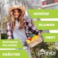 GRINDI - Gewächshaus klein 5,9 m² Viola IIII - Gartenhaus - Carport Aluminium - Dachfenster - Polycarbonat Hohlkammerplatten - Growzelt - Tomatengewächshaus - Anlehngewächshaus Winterfest - Thumbnail 4
