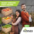 GRINDI - Gewächshaus klein 5,9 m² Viola IIII - Gartenhaus - Carport Aluminium - Dachfenster - Polycarbonat Hohlkammerplatten - Growzelt - Tomatengewächshaus - Anlehngewächshaus Winterfest - Thumbnail 2