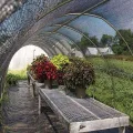 Schattierungsnetz Sonnenschutznetz Uv-Schutzabdeckung 50% Shading Rate,Schattentuch Leicht Und Haltbarkeit,FüR Garten Pflanze GewäChshaus Scheune Schwarz (2mx3m/6.6ftx9.8ft) - Thumbnail 7