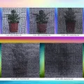 Schattierungsnetz Sonnenschutznetz Uv-Schutzabdeckung 50% Shading Rate,Schattentuch Leicht Und Haltbarkeit,FüR Garten Pflanze GewäChshaus Scheune Schwarz (2mx3m/6.6ftx9.8ft) - Thumbnail 8
