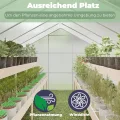 Gewächshaus Aluminium für den Garten |Mit 8 cm dickeres Fundament| 182*190*195 cm | Vielseitig nutzbar als Treibhaus Gartenhaus winterfest Aufzucht Tomatenhaus Frühbeet und Pflanzenhaus silber - Thumbnail 7