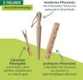 Windhager Anzuchtset, 3-teilig, Buchenholz, inkl. Pflanzholz, Pikierleiste und Pikiergabel, Pflanzsetz für Hochbeete, 05848 - Thumbnail 4