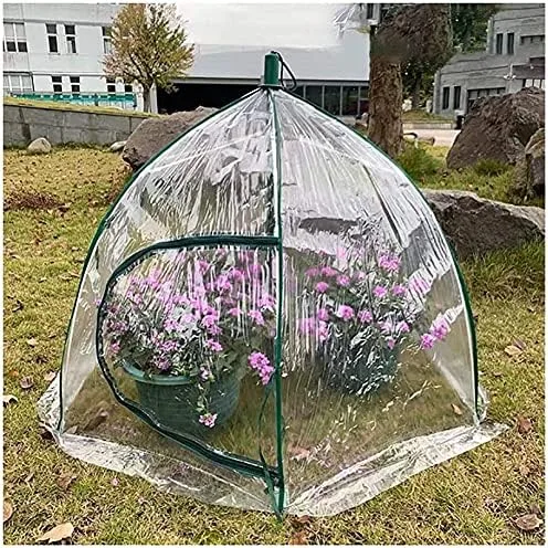 Mini-Gewächshaus Treibhaus Tomatenhaus Kleines Gewächshaus, durchsichtige Abdeckung, Reißverschlusstür, für Topfpflanzen Sukkulenten Indoor Balkon Growhouse 1025 – Bild 1