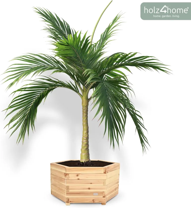 holz4home® Outdoor Pflanzkübel XL I 6-Eckig aus Tannenholz I inkl. Gartenhandschuhe & Vlies I Blumentopf Terrasse aus Holz I Pflanzkasten Pflanztopf Blumenkübel Balkon – Bild 7