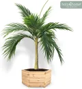 holz4home® Outdoor Pflanzkübel XL I 6-Eckig aus Tannenholz I inkl. Gartenhandschuhe & Vlies I Blumentopf Terrasse aus Holz I Pflanzkasten Pflanztopf Blumenkübel Balkon - Thumbnail 7