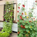 2 Stück Ranknetz für Rankhilfe Gurken, Tomaten Rankhilfe, Ranknetz für Kletterpflanzen Gewäch Gemüse,Bohnen Rankhilfe，Gewächshaus Zubehör - 1,8 x 1,8 m - Thumbnail 7