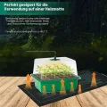 Mini Gewächshaus mit Licht, Anzucht Gewächshaus, Sonnenähnliche Pflanzenlichter mit vollem Spektrum, Anzuchtset Zimmergewächshaus Anzuchtkasten pflanzenlampe anzucht(2pack LED) - Thumbnail 3