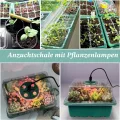 Mini Gewächshaus mit Licht, Anzucht Gewächshaus, Sonnenähnliche Pflanzenlichter mit vollem Spektrum, Anzuchtset Zimmergewächshaus Anzuchtkasten pflanzenlampe anzucht(2pack LED) - Thumbnail 8