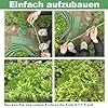 6 x Pflanztunnel, 86 x 110 cm Gartenreifen für Reihenabdeckung, Rostfreier Stahl Tunnelbögen mit Kunststoffbeschichtung, Gewächshaus-Reifen für Pflanzenabdeckung, Durchmesser 11 mm - Thumbnail 2