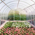 YUENFONG 14x Polycarbonat Hohlkammerstegplatten 4mm witterungsbeständig & lichtdurchlässig, Stegplatten Stoßsicheren und UV-beständigen für Gewächshaus Gartenbau Carports- 60,5 x 121 cm - Thumbnail 8