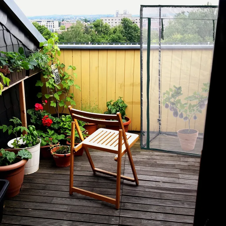 Relaxdays Tomatengewächshaus, Stahl & PVC-Folie, HBT: 150 x 100 x 50 cm, Foliengewächshaus Garten & Balkon, transparent – Bild 6