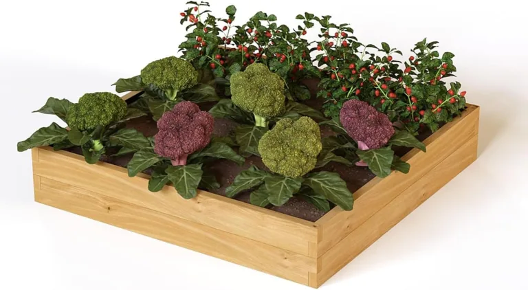 holz4home® Hochbeet aus Kieferholz I 110x110x24 cm I Beetrahmen Holz I Gartenbeet zum Anbau von Gemüse & Blumen I Blumenbeet Holz Gemüseanbau – Bild 1