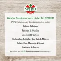 Sperli Salat-Tomatensamen Fantasio, F1 83461 - resistente Sorte - ertragreich - widerstandsfähig - für Gewächshaus - Samen Gemüse, Gemüse Pflanzen - Thumbnail 4