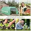 Outsunny Foliengewächshaus Polytunnel 6 x 3 x 2 m begehbares Gewächshaus mit aufrollbar Abdeckungen Folientunnel Treibhaus UV-Schutz Stahlrohr Grün - Thumbnail 2