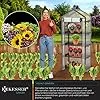 KESSER® Premium Foliengewächshaus Gewächshaus mit 4 Etagen - 69 x 50 x 158 cm Treibhaus mit 4 Regalen - Platzsparend, Hochwertiges Anzuchthaus Garten Balkon Stabil & Einfach zu Montieren – Bild 2