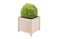 empasa Hochbeet Blumenkasten Kräuterbeet Frühbeet Pflanzkübel Pflanzkasten aus Holz für Garten, Balkon und Terrasse, Ausführung:KUUBI L - 117 x 77 x 78 cm - Thumbnail 10