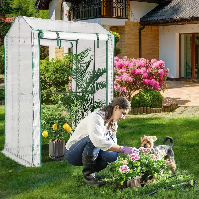 COSTWAY Gewächshaus Winterfest, 100x81x150cm, Foliengewächshaus mit PE Gitterfolie & mit aufrollbarer Reißverschlusstür, Gartengewächshaus Klein, Tomatenhaus für Tomaten, Garten Balkon, Metallrahmen – Bild 7