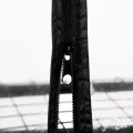 Relaxdays Gewächshaus Balkon, PVC-Folie, Eisen, HxBxT: 192 x 69 x 50 cm, Foliengewächshaus 5 Ebenen, schwarz/transparent - Thumbnail 6