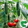 Rankhilfe Gurken Ranknetz für Gurken - Rankhilfe Garten Tomaten, Sehr Passend Netz für Kletterpflanzen Gewächshaus Zubehör, Pflanzennetz 180x270 für Garten Gewächshaus - Thumbnail 2