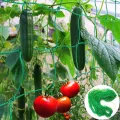Rankhilfe Gurken Ranknetz für Gurken - Rankhilfe Garten Tomaten, Sehr Passend Netz für Kletterpflanzen Gewächshaus Zubehör, Pflanzennetz 180x270 für Garten Gewächshaus - Thumbnail 5