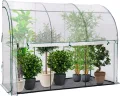 IDMarket - Wandgebautes Wintergewächshaus 300 x 80 x 160 cm mit doppelter Öffnung für Balkon und Terrasse - Thumbnail 2