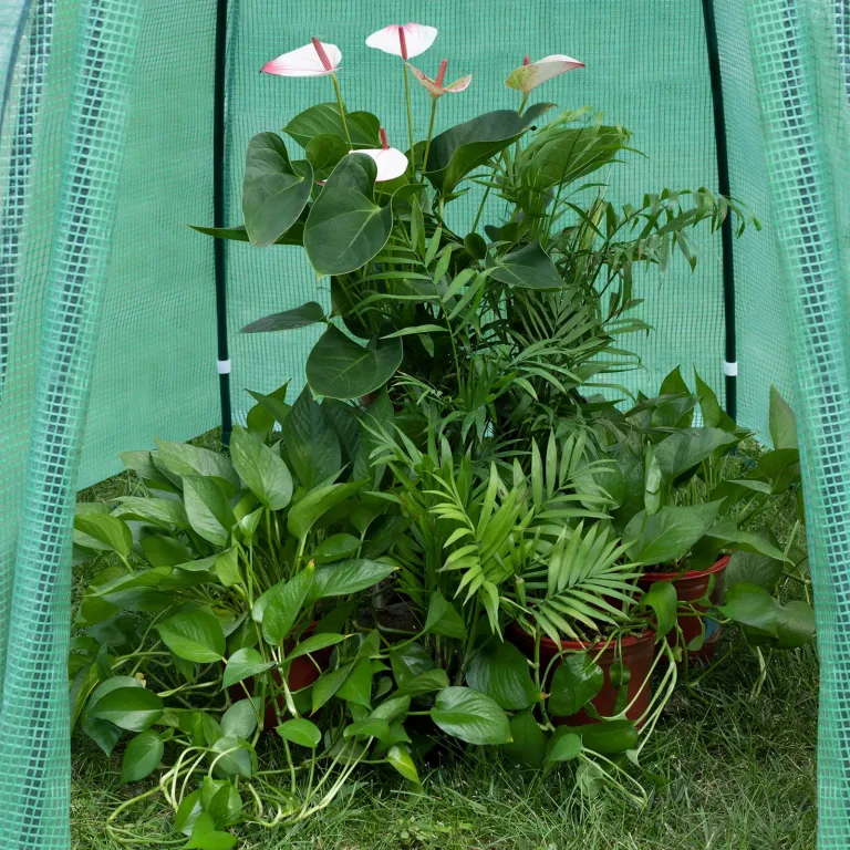 WOLTU Foliengewächshaus, PE-halbdurchsichtiges Tomatengewächshaus für Winterschutz, mit Reißverschluss-Tür, wetterfest & vielseitig, für Garten, Balkon, 160x160x180cm, Grün – Bild 4
