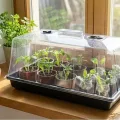 GrowPRO High Dome Zimmergewächshaus, 54x27x25 cm - Anzuchthaus mit verschließbaren Belüftungslöchen, 1 Stück - Thumbnail 3