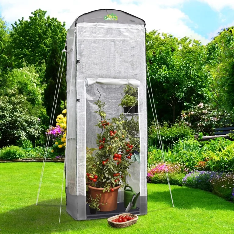 Bio Green Foliengewächshaus Patioflora 120 für Terrasse und Garten | Pflanzzelt ganzjährig einsetzbar | UV-beständig | 4 Belüftungsöffnungen | hohes Überwinterungszelt | L 120 x B 120 x H 300 cm – Bild 2