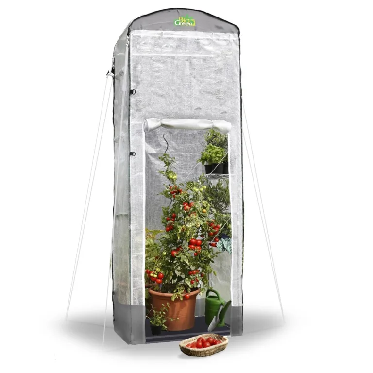 Bio Green Foliengewächshaus Patioflora 120 für Terrasse und Garten | Pflanzzelt ganzjährig einsetzbar | UV-beständig | 4 Belüftungsöffnungen | hohes Überwinterungszelt | L 120 x B 120 x H 300 cm – Bild 1