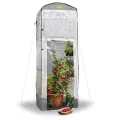 Bio Green Foliengewächshaus Patioflora 120 für Terrasse und Garten | Pflanzzelt ganzjährig einsetzbar | UV-beständig | 4 Belüftungsöffnungen | hohes Überwinterungszelt | L 120 x B 120 x H 300 cm - Thumbnail 1