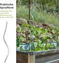 KARAT Tomatenspiralstäbe - 180 cm Länge - 10 Stück - Tomatenstab - Spiralstab - Rankstab - Tomaten Rankhilfe - Pflanzstab aus verzinktem Stahl - Thumbnail 4