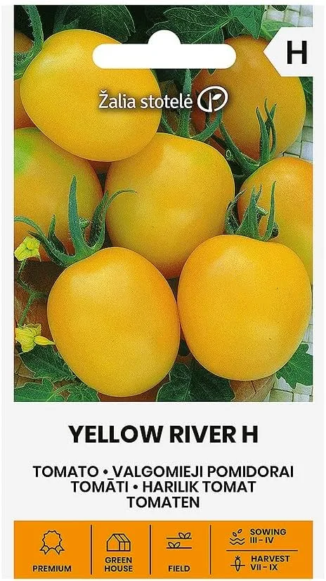 Zalia stotele | TOMATEN YELLOW RIVER H samen | Gemüsesamen | Pflanze samen | Tomatensamen | Gardensamen | Anbau im Freiland oder im Gewächshaus | 1 Pack – Bild 1