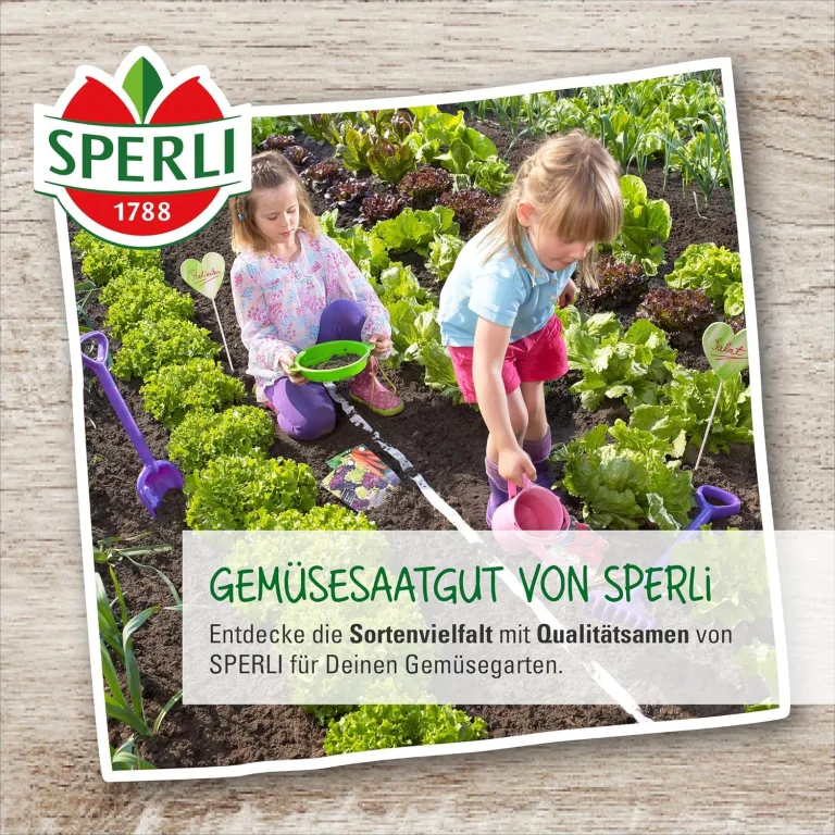 Sperli 83371, Tomate Harzfeuer F1, Portionssaatgut, bewährte Salat-Tomate, schnittfeste Früchte, süß-aromatisch im Geschmack – Bild 4