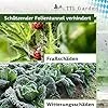 TTL Garden Folientunnel Set Flex XL 32 mit PE Folie 10 x 2,5 m - 10 x Fiberglas Bögen & PE Anzuchtfolie 10x2,5m breit, Rund Bogen Abdeckung Frühbeet Hochbeet Gemüsebeet stabil langlebig & rostfrei - Thumbnail 4
