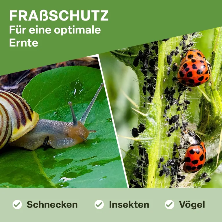 TTL Garden 10x2m PE Frühbeetfolie gelocht 20g/m² - transparente Gartenfolie für Folientunnel Anzuchtfolie Frühbeet & Hochbeet Wachstumsfolie Wärme Schutz vor Regen, Wind Frost – Bild 7