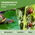 TTL Garden 10x2m PE Frühbeetfolie gelocht 20g/m² - transparente Gartenfolie für Folientunnel Anzuchtfolie Frühbeet & Hochbeet Wachstumsfolie Wärme Schutz vor Regen, Wind Frost - Thumbnail 7