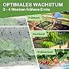 TTL Garden 10x2m PE Frühbeetfolie gelocht 20g/m² - transparente Gartenfolie für Folientunnel Anzuchtfolie Frühbeet & Hochbeet Wachstumsfolie Wärme Schutz vor Regen, Wind Frost - Thumbnail 2