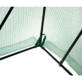 Grindi - Tomaten Gewächshaus, Foliengewächshaus mit PVC Folie und Fernster, Transparent, 100x50x170cm, Gewächshaus Klein, Garten, Balkon,Winterfest Tomatenhaus für Optimales Pflanzenwachstum - Thumbnail 3