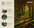 Upyard Holz Hochbeet für Garten, Terrasse und Balkon - Blumenkasten mit Innenvlies und wasserdichter Kunststoffeinlage - Pflanzkasten für Innen- und Außenbereich, 78x52x48, Schwarz - Thumbnail 7