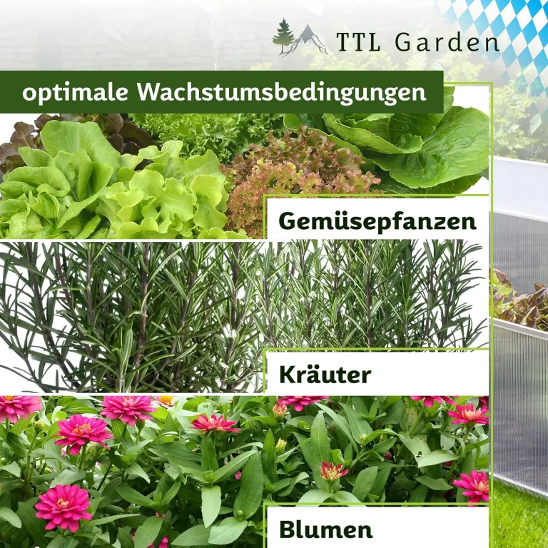 TTL Garden Frühbeet Aufsatz 100x60x40cm Alu & Polycarbonat - Hochbeet Kasten Mini Gewächshaus Frühbeetkasten 100 cm lang 60 cm breit, Wärme & Schutz für Pflanzen im Frühjahr, Deckel einstellbar – Bild 7