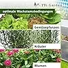 TTL Garden Frühbeet Aufsatz 100x60x40cm Alu & Polycarbonat - Hochbeet Kasten Mini Gewächshaus Frühbeetkasten 100 cm lang 60 cm breit, Wärme & Schutz für Pflanzen im Frühjahr, Deckel einstellbar – Bild 2